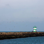 Credit: Volvo Ocean Race